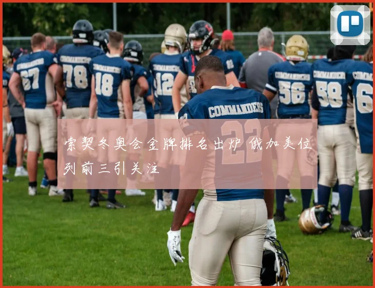 索契冬奥会金牌排名出炉 俄加美位列前三引关注