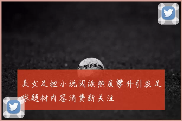 美女足控小说阅读热度攀升引发足球题材内容消费新关注
