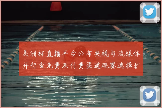 美洲杯直播平台公布央视与流媒体并行含免费及付费渠道观赛选择扩大
