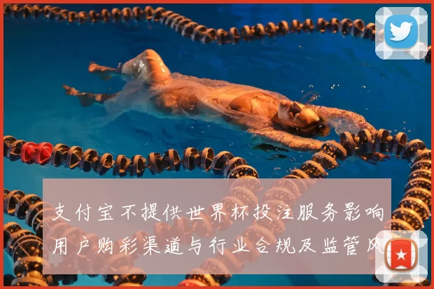 支付宝不提供世界杯投注服务影响用户购彩渠道与行业合规及监管风险