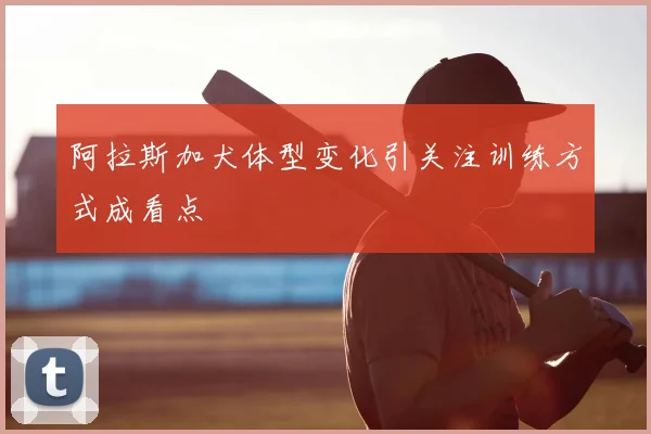 阿拉斯加犬体型变化引关注训练方式成看点