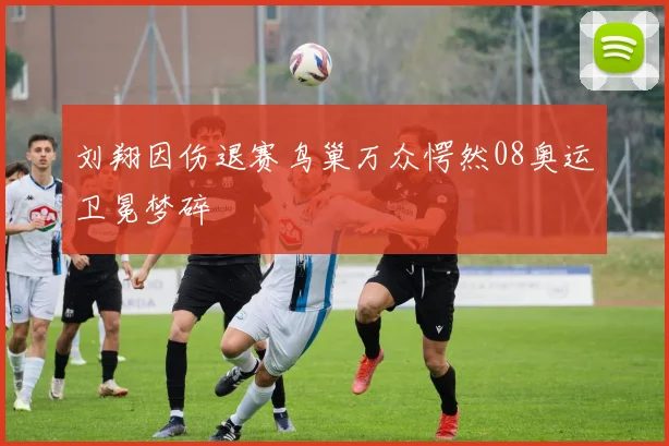 刘翔因伤退赛鸟巢万众愕然08奥运卫冕梦碎