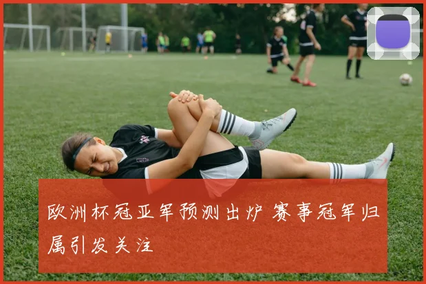 欧洲杯冠亚军预测出炉 赛事冠军归属引发关注